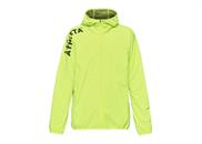 Fイエロー(FYE 29)