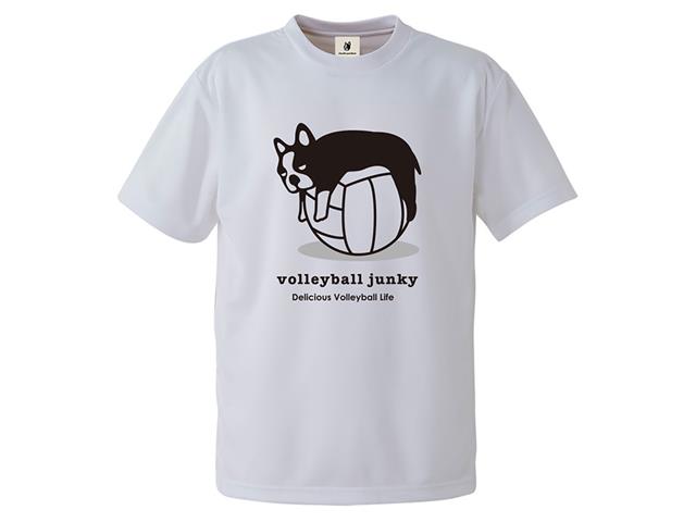 volleyball junky たれパンディアーニ+1 DryTEE VJ17503
