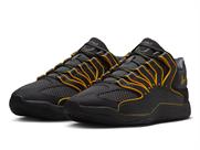 BLACK/UNIVERSITY GOLD-ANTHRACITE-FIR(002)