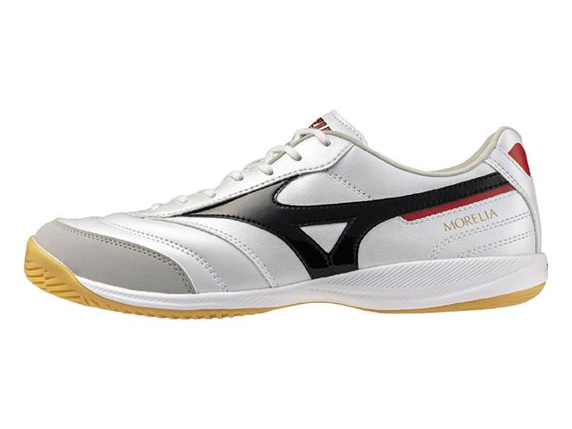 MORELIA SALA PRO IN