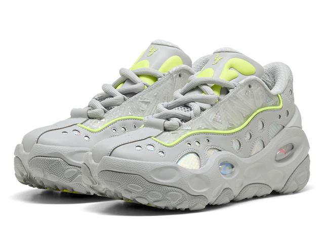 LA FRANCE RNNR REFLECTION