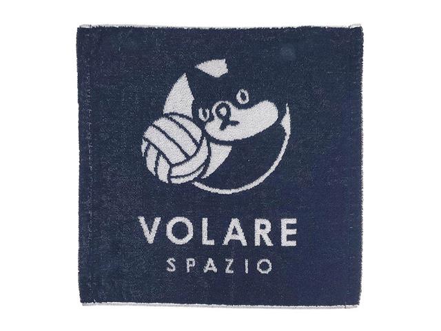 バレーボール男子日本代表2025」トレーディングmini色紙【BOX