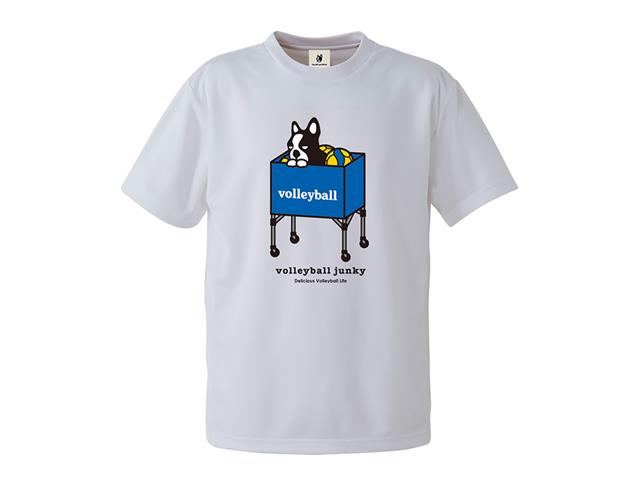 市立尼崎バレーボールTシャツ 兵庫県 尼崎市立尼崎高校 バレーボール部 Tシャツ 激レア品 春高出場