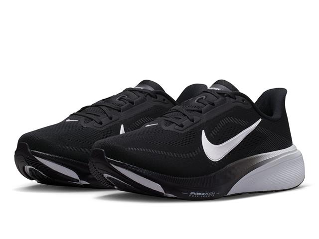 NIKE ナイキ ウィメンズ エア ズーム ペガサス 42 ワイド IH1847