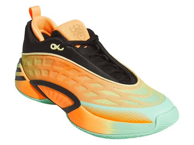 NIKE ZOOM LEBRON NXXT GEN AMPD TYP EP FZ7888 | バスケットボール