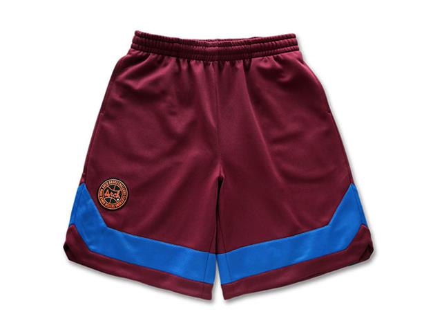 Arch classic line shorts